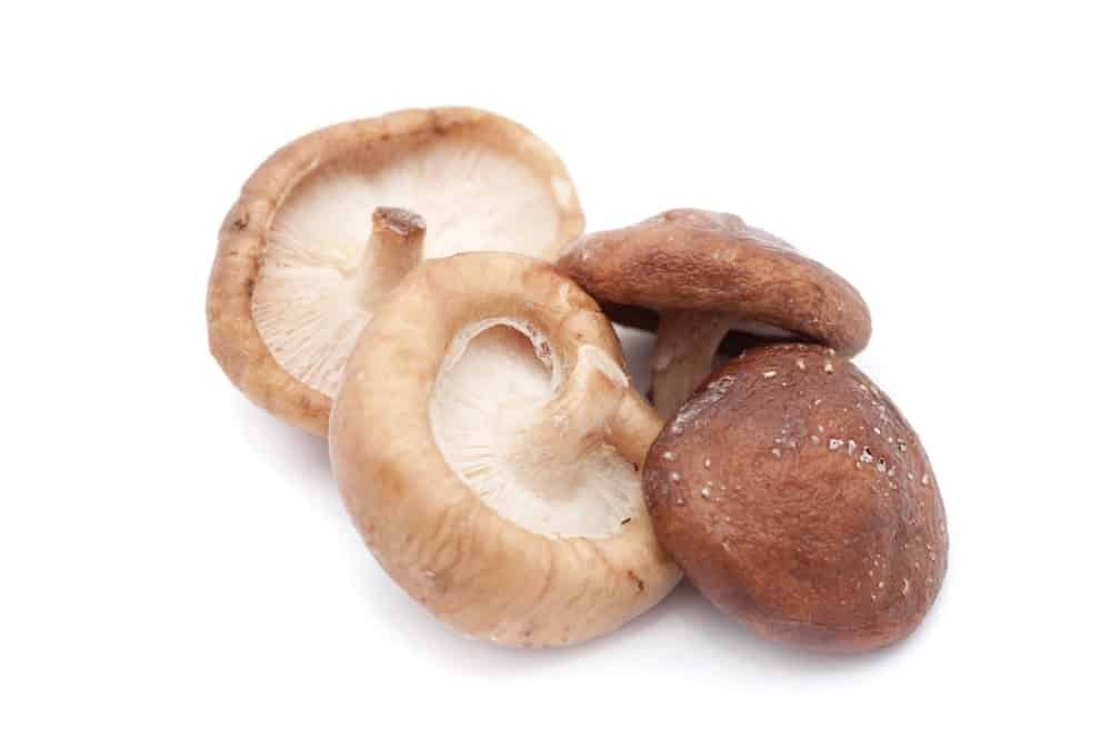Shiitake mushroom, functional mushrooms.