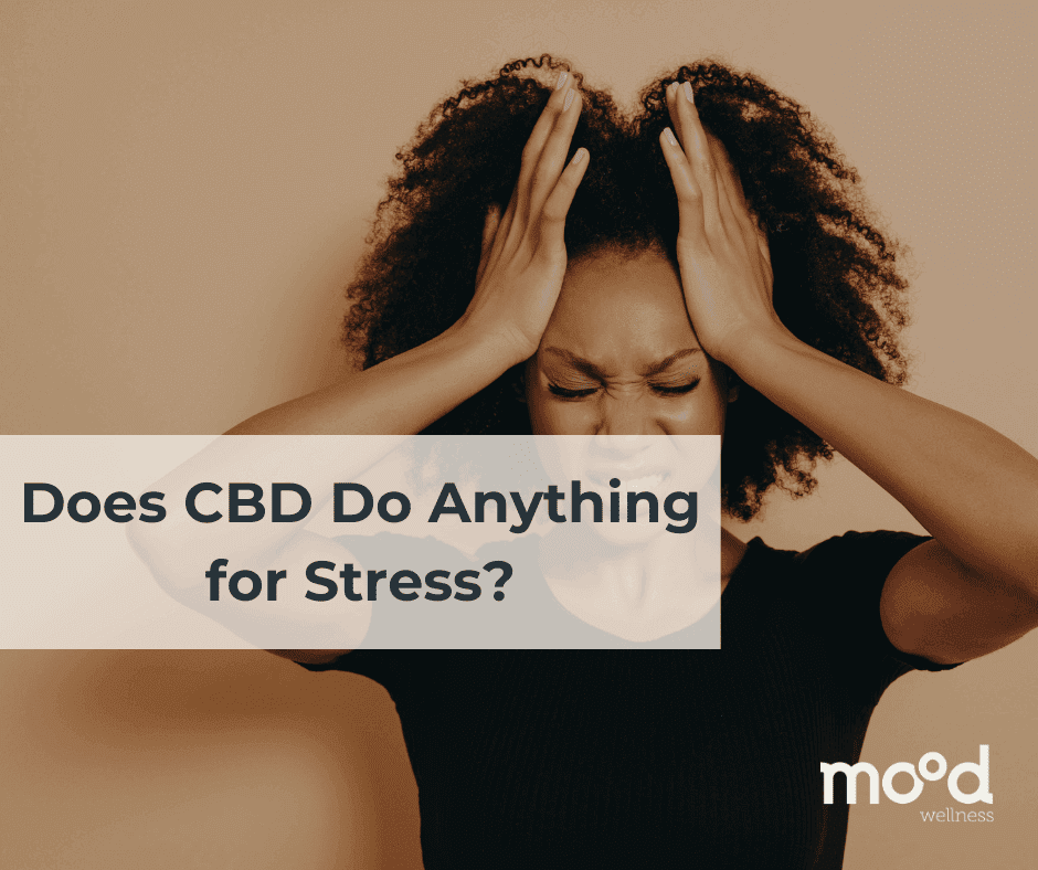 Does CBD Do Anything for Stress?