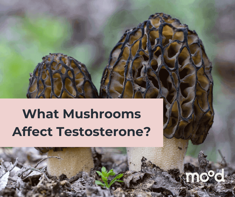 What Mushrooms Affect Testosterone?