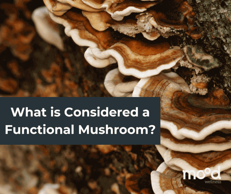 What is Considered a Functional Mushroom?