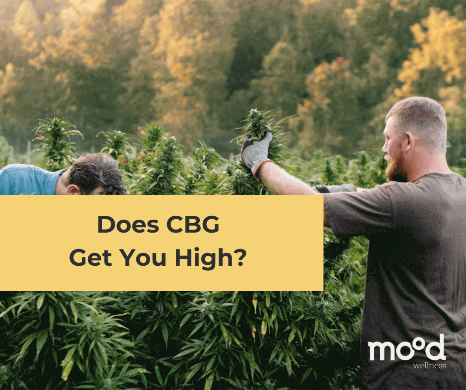Does CBG Get You High?
