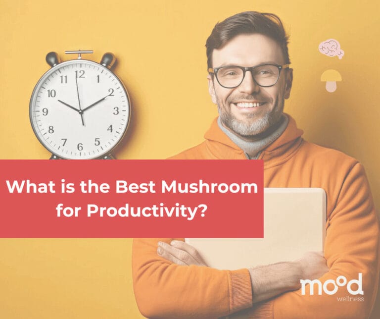 What is the Best Mushroom for Productivity?