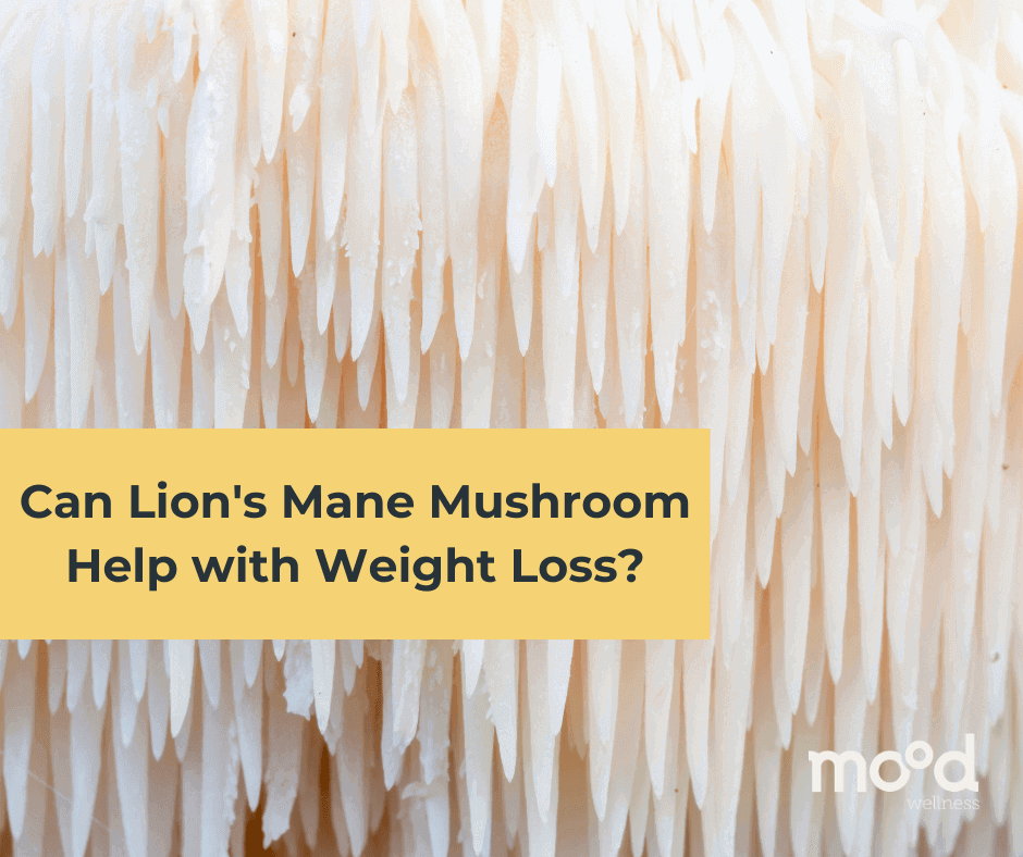 Can Lion's Mane Mushroom Help with Weight Loss?