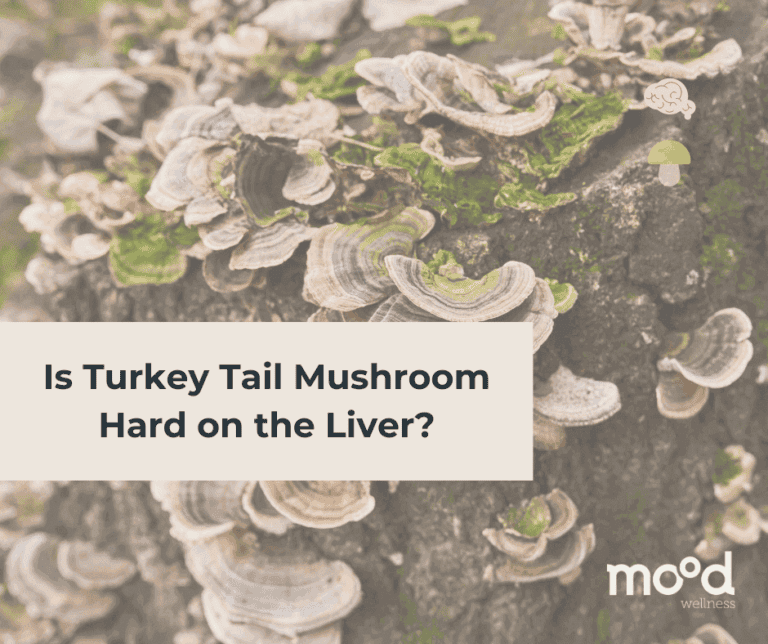 Is Turkey Tail Mushroom Hard on the Liver?