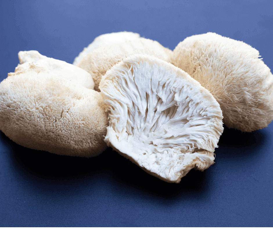 Lion's Mane Mushroom for Weight Loss