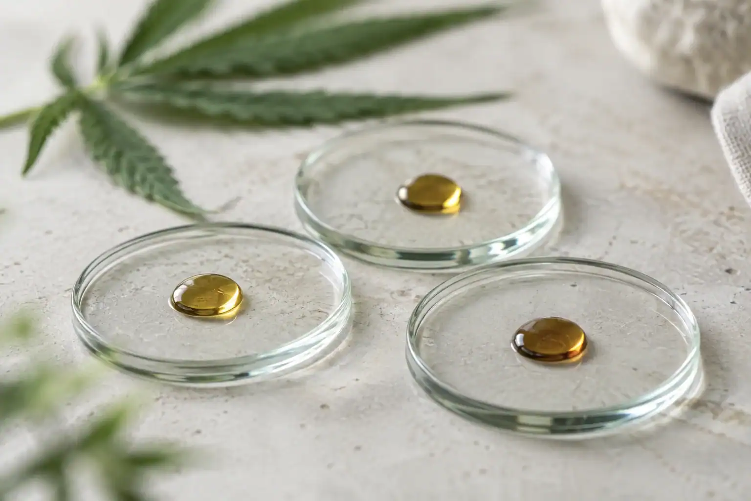 Separate oil samples representing different cannabinoid formulas